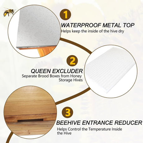 5-Layer Bee Hive, Beehive Kit Langstroth Bee Hive Coated | 100% Beeswax Includes 2 Deep Bee Boxes, 3 Medium Bee Hive, NO Frame