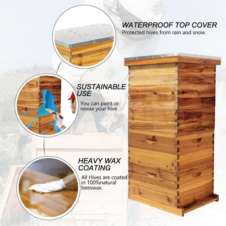 5-Layer Bee Hive, Beehive Kit Langstroth Bee Hive Coated | 100% Beeswax Includes 2 Deep Bee Boxes, 3 Medium Bee Hive, NO Frame