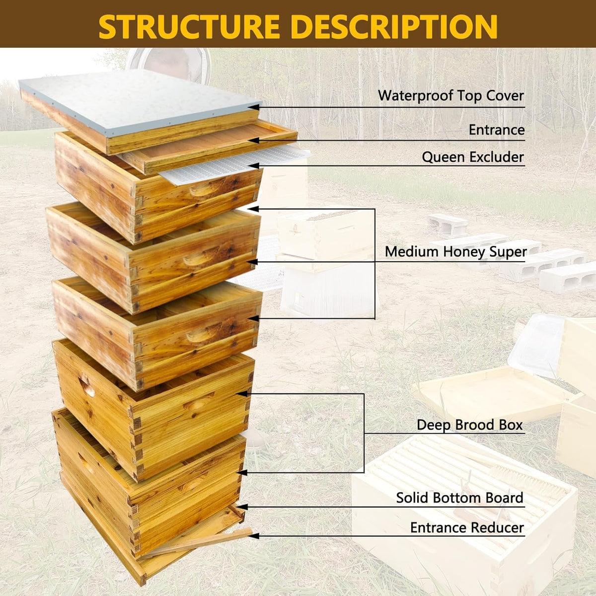 5-Layer Bee Hive, Beehive Kit Langstroth Bee Hive Coated | 100% Beeswax Includes 2 Deep Bee Boxes, 3 Medium Bee Hive, NO Frame
