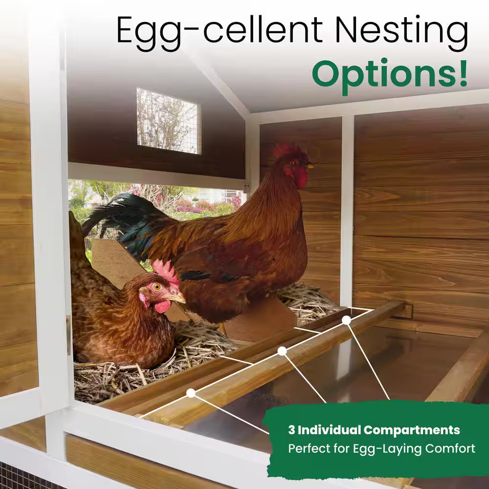 Farmstead Chicken Coop