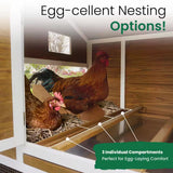Farmstead Chicken Coop