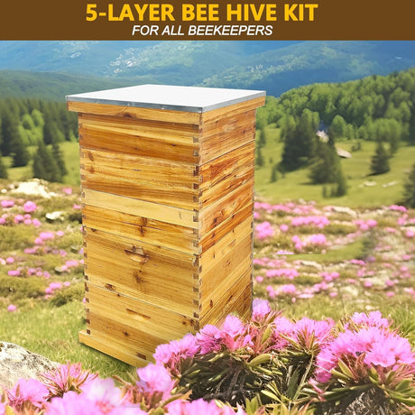 5-Layer Bee Hive, Beehive Kit Langstroth Bee Hive Coated | 100% Beeswax Includes 2 Deep Bee Boxes, 3 Medium Bee Hive, NO Frame